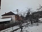Olešná