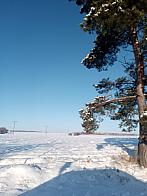Lukovany