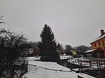 Olešná