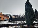 Olešná