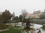 Třibřichy