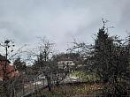 Olešná