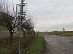Třibřichy