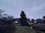Olešná
