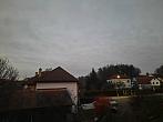 Olešná