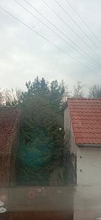 Kostelec nad Labem