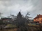 Olešná