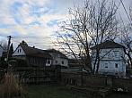 Třibřichy