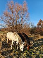 Chomutov