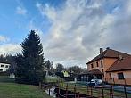 Olešná
