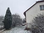 Olešná
