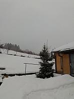 Skalité
