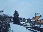 Olešná
