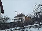 Olešná