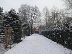Český Těšín