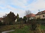 Třibřichy