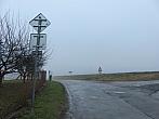Třibřichy