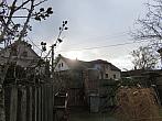 Třibřichy