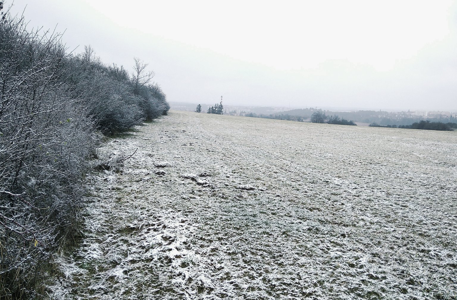 Třebíč-Borovina