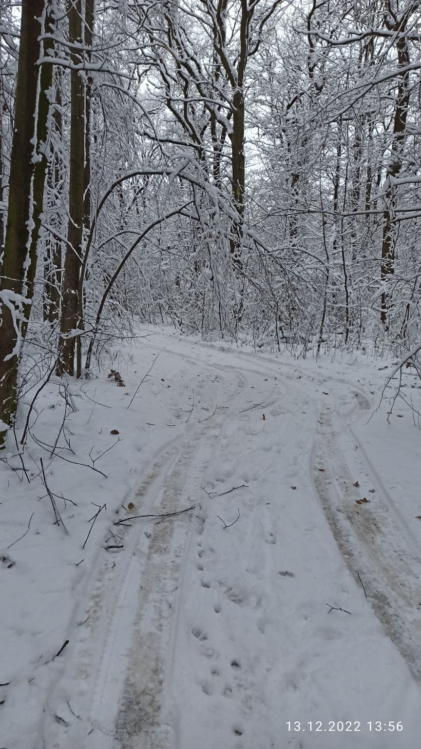 Ostrava-Poruba