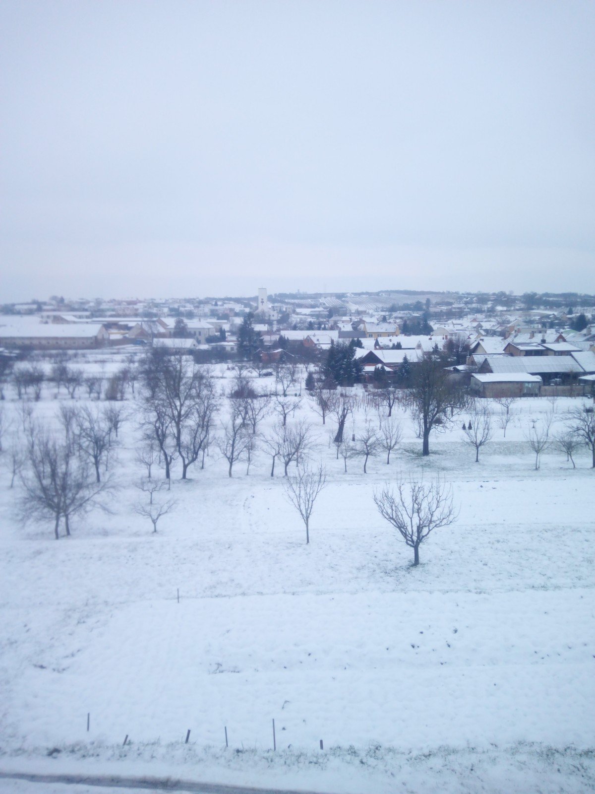 Žádovice