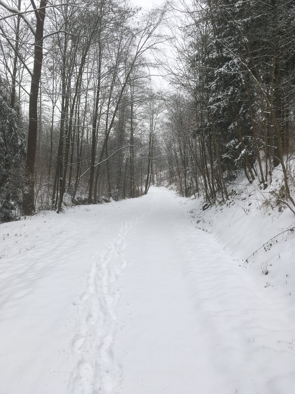 Třebíč