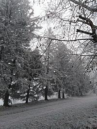 Světlá  Hora