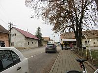 Třibřichy