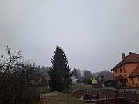 Olešná