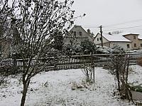 Třibřichy