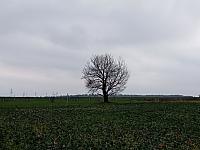 Lukovany