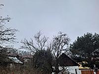 Olešná