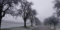 Lukovany