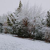 Třemošnice