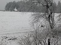 Němčice Zhoř