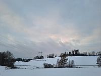 Olešná