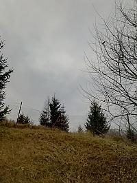 Skalité