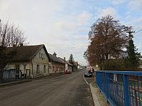 Třibřichy