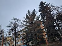 Jihlava