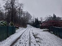 Český Těšín