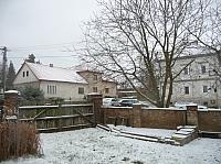 Třibřichy