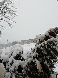 Skalité