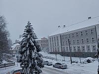 Český Těšín