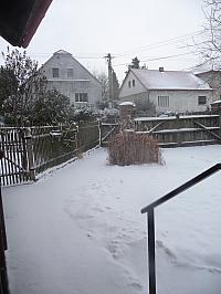 Třibřichy
