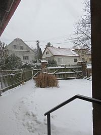 Třibřichy