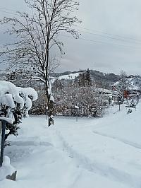 Skalité