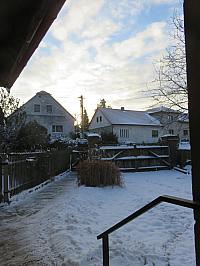 Třibřichy