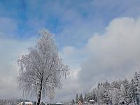 Němčice Zhoř