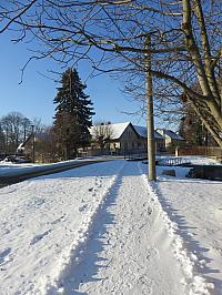 Třibřichy