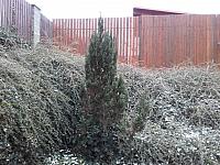 Velká Bíteš